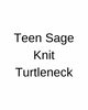 Teen Sage Knit Turtleneck